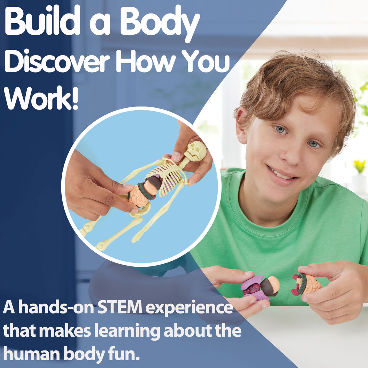 Brainstorm Build a Body