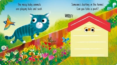 Hide & Seek with the Baby Animals Book