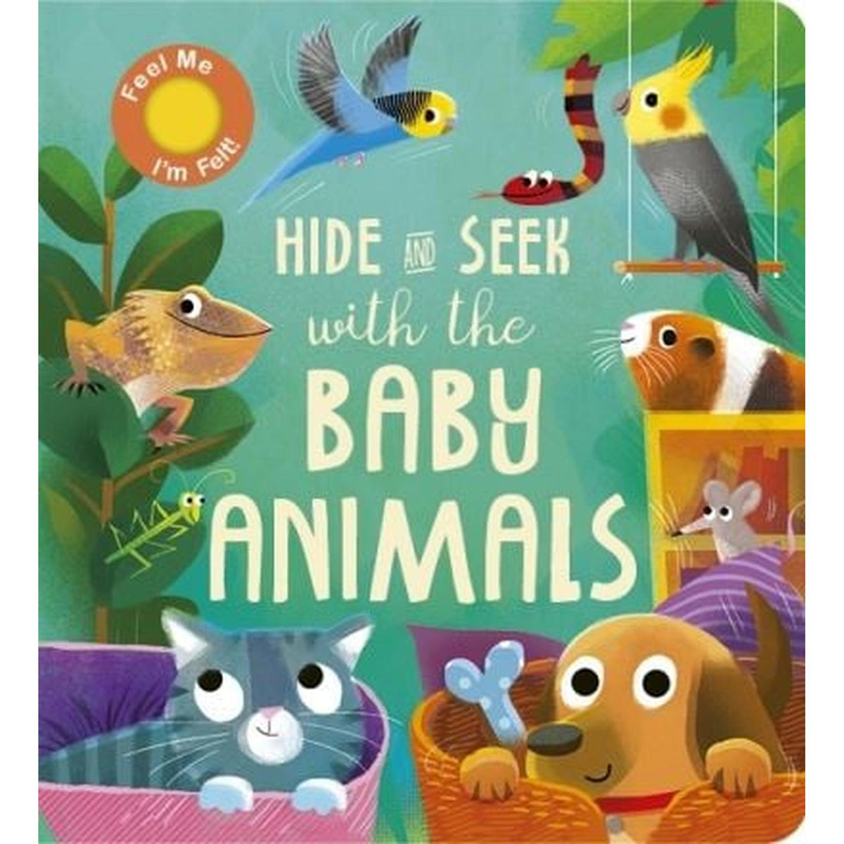 Hide & Seek with the Baby Animals Book