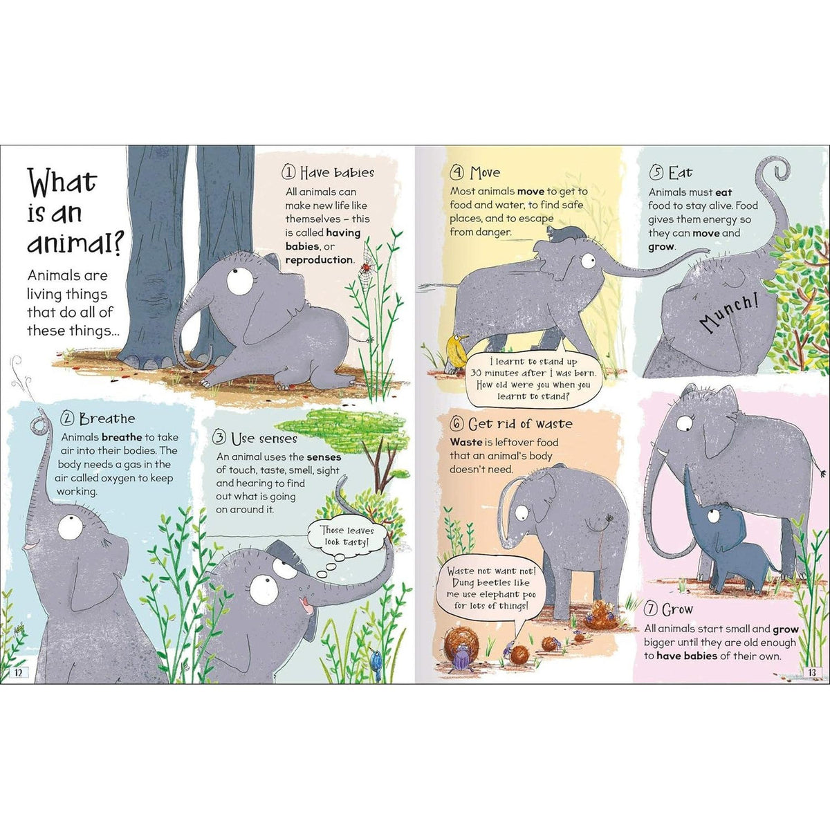 Incredibly Curious Questions & Answers Book