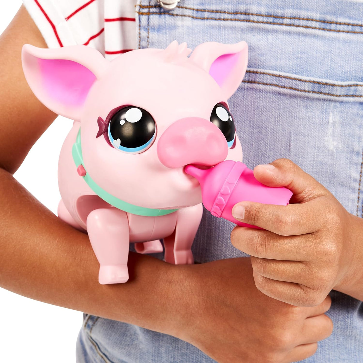 Little Live Pets: My Walking Pig Piggly