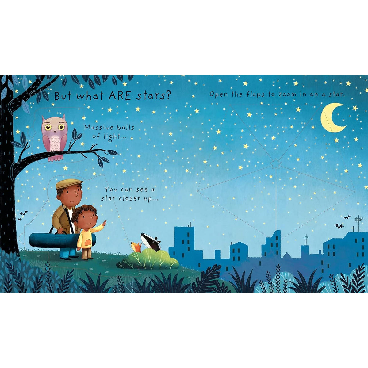 Usborne Very First Questions & Answers - What are Stars?