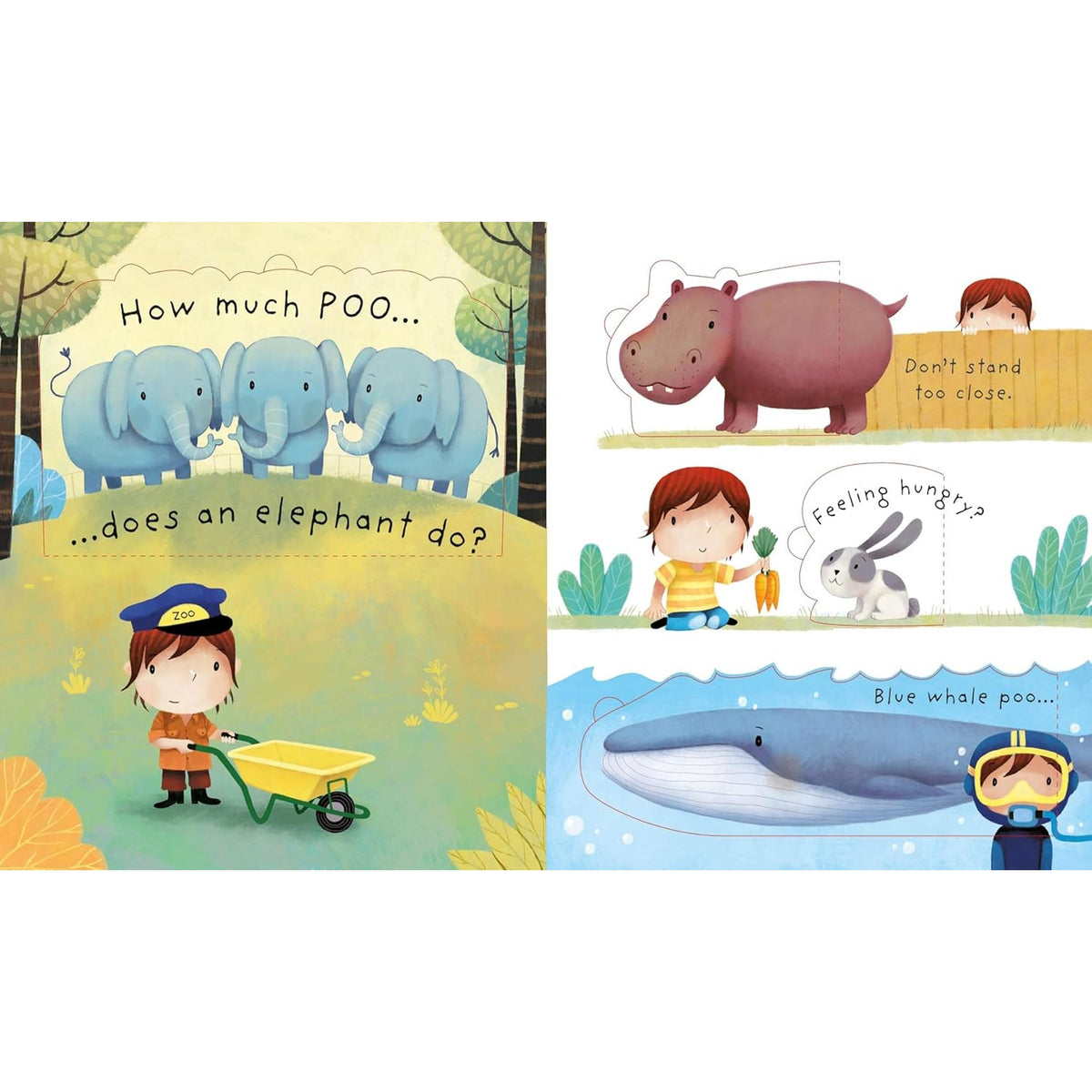 Usborne Very First Questions & Answers - What is Poo?