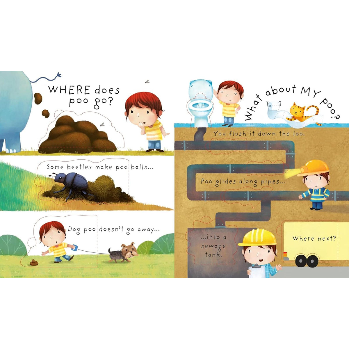 Usborne Very First Questions & Answers - What is Poo?