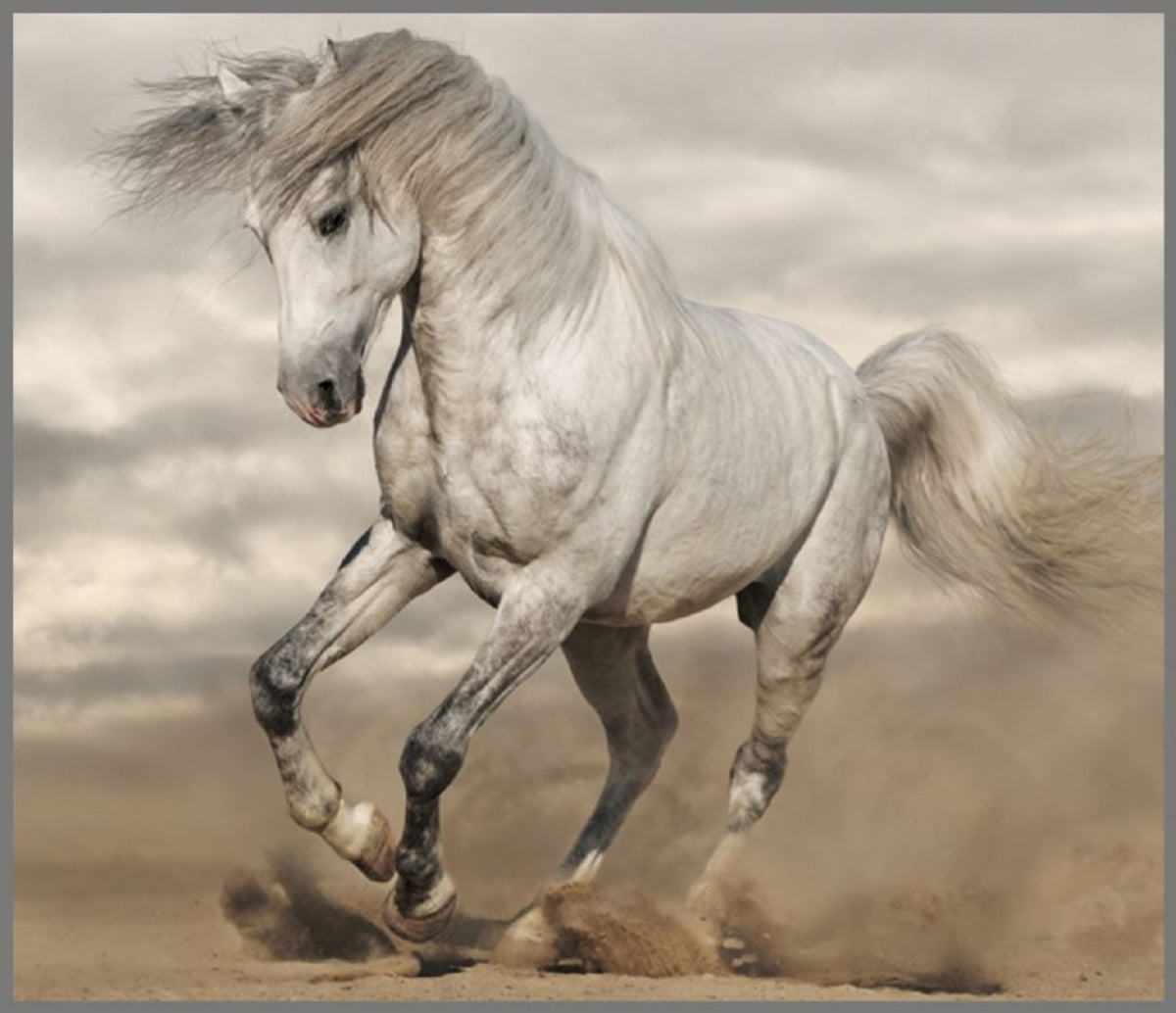 Horse Torch & Projector