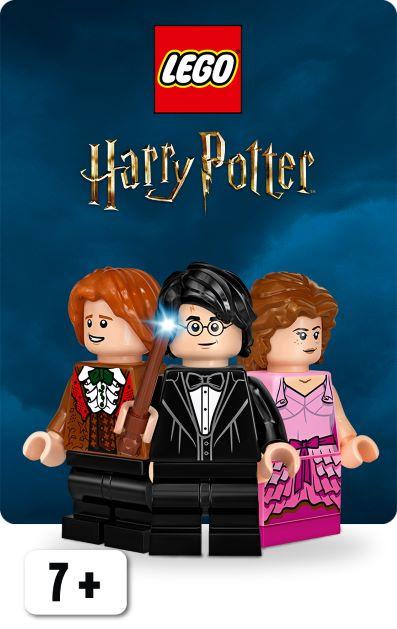 LEGO Harry Potter | McGreevy's Toys Direct