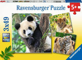 Wildlife 3x49-piece Puzzles