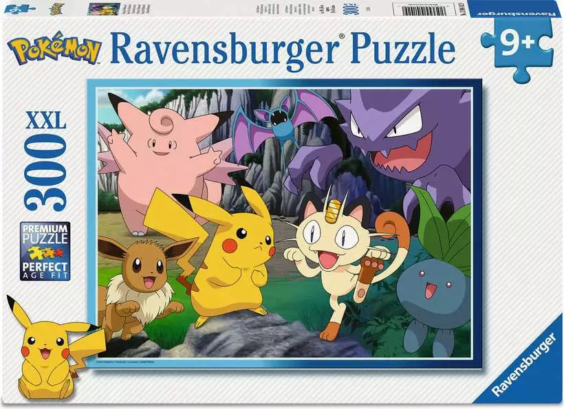 Pokemon 300-piece Puzzle