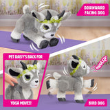 FurReal Daisy the Yoga Goat Interactive Toy