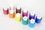 Crayola Washable Paint 10-pack