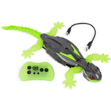 Hex Bots RC Wall Crawler Gecko