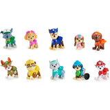 PAW Patrol All Paws Gift Pack