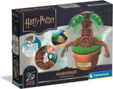 Harry Potter Mandrake Terrarium Kit