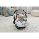 VTech Baby On-the-Go Soft Zebra