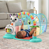 VTech Baby 6-in-1 Playtime Tunnel