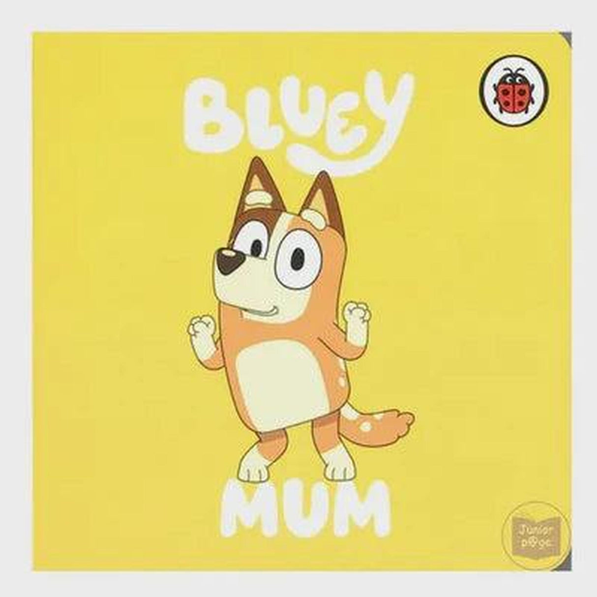 Bluey Board Books, Assorted