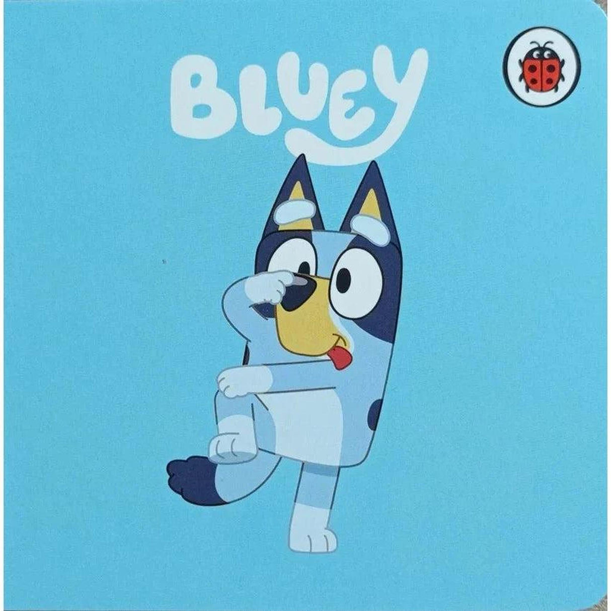 Bluey Board Books, Assorted