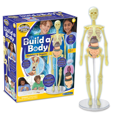 Brainstorm Build a Body