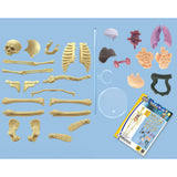 Brainstorm Build a Body