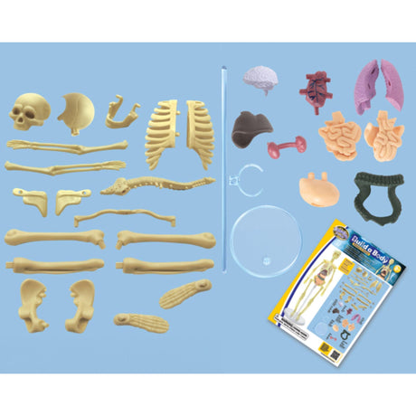 Brainstorm Build a Body