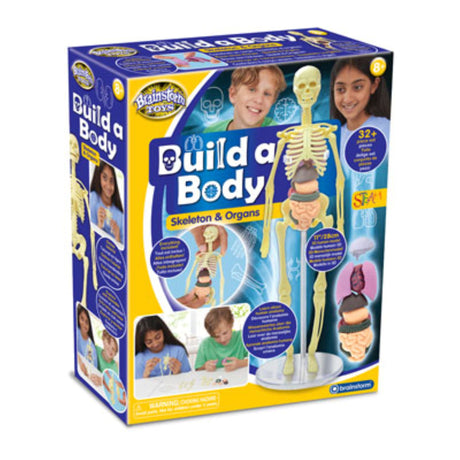 Brainstorm Build a Body