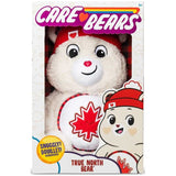 Care Bears - True North Bear 2.0 Plush 35cm