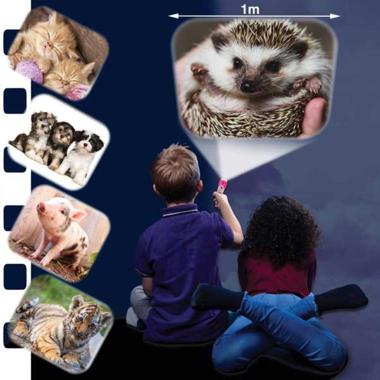 Cute & Cuddly Torch & Projector