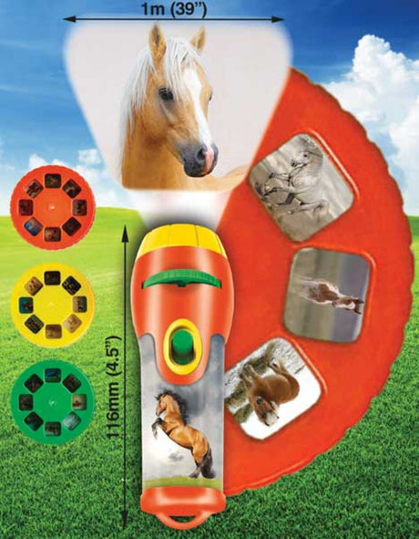 Horse Torch & Projector