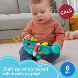 Fisher Price Paradise Pals Busy Activity Shark