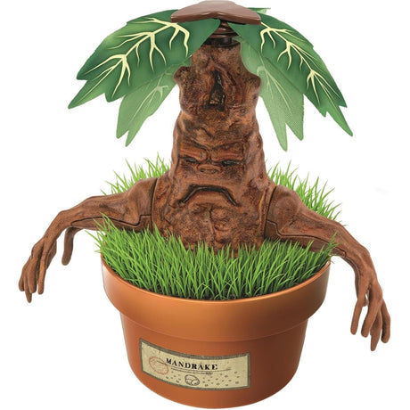 Harry Potter Mandrake Terrarium Kit