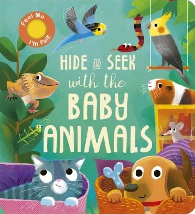 Hide & Seek with the Baby Animals Book