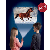 Horse Torch & Projector