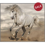 Horse Torch & Projector