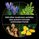 LEGO 11505 Botanicals Woodland Mushrooms