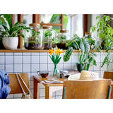 LEGO 40747 Daffodils