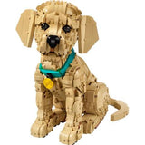 Lego 11384 Icons Golden Retriever Puppy