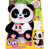 Little Live Pets My Baby Panda ChuChu