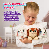 Little Live Pets - My Puppy's Home Minis (Pink/Purple)