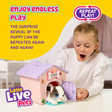 Little Live Pets - My Puppy's Home Minis (Pink/Purple)