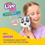 Little Live Pets: My Really Real Puppy Mini - Aurora the Husky