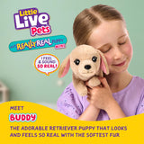 Little Live Pets: My Really Real Puppy Mini - Buddy the Retriever