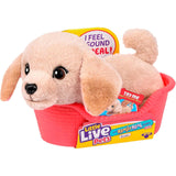 Little Live Pets: My Really Real Puppy Mini - Buddy the Retriever