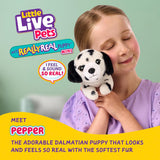 Little Live Pets: My Really Real Puppy Mini - Pepper the Dalmatian