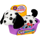 Little Live Pets: My Really Real Puppy Mini - Pepper the Dalmatian
