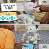 Mintid Dog-E Interactive Robot Dog