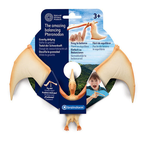 Natural History Museum: The Amazing Balancing Pteranodon