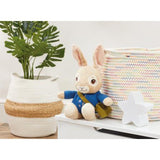 Talking Peter Rabbit Soft Toy