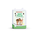 Pocket Tonies: Andrea Beaty - Iggy Peck and the Mysterious Mansion