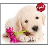 Puppy Torch & Projector