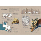 The World of Dinosaurs: Lift the Flap Book